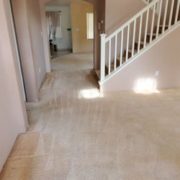 Excellence Carpet & Cleaning