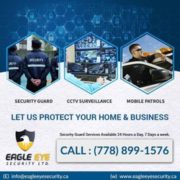 Eagle Eye Security