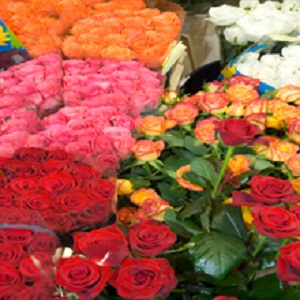 Florist png