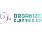 Organized Cleaning Diva