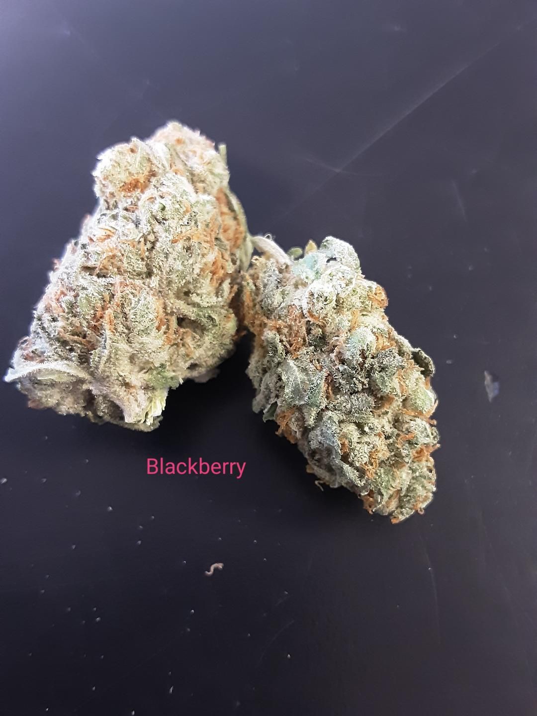 Jake's Beyond Bud Photo